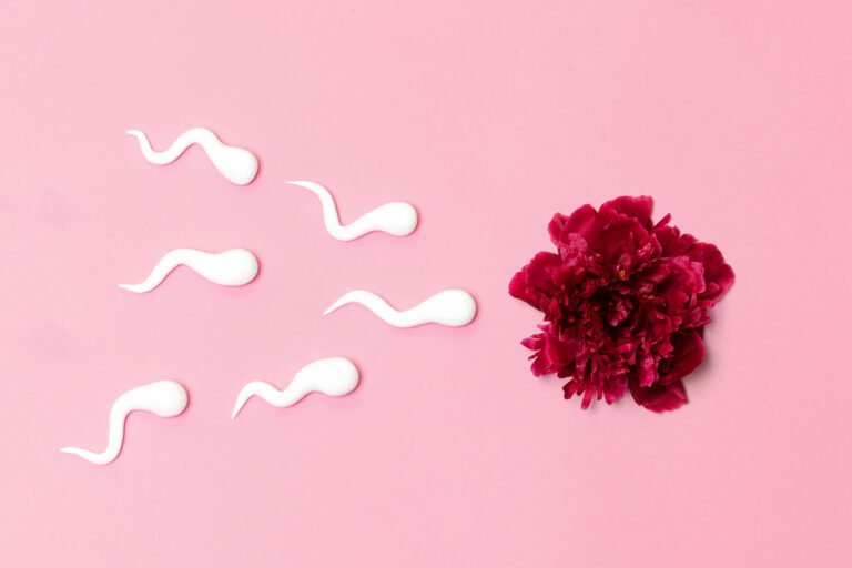 Symbolbild: cremefarbene Formen, die Spermienzellen ähneln, bewegen sich auf eine rote Blüte zu, auf rosafarbenem Hintergrund.
