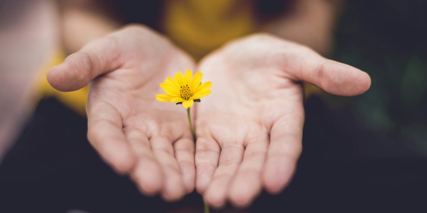 Eine offene Hand, die eine gelbe Blume hält - Symbol für psychologische Unterstützung im IVF-Prozess.