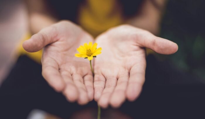 Eine offene Hand, die eine gelbe Blume hält - Symbol für psychologische Unterstützung im IVF-Prozess.