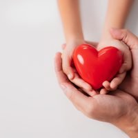 Schritt zum Ziel 1 Die Hände eines Erwachsenen und eines Kindes halten ein rotes Herz, ein Symbol für Liebe und Unterstützung
